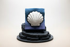 Clam Clicker